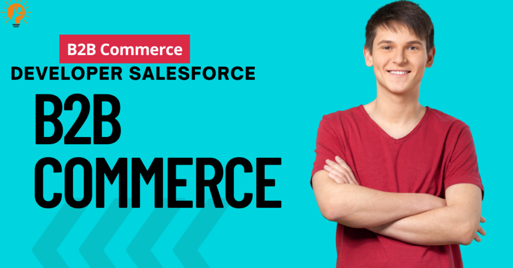 b2b commerce developer salesforce
