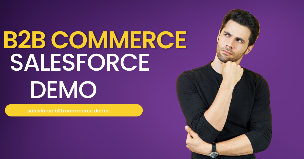 salesforce b2b commerce demo
