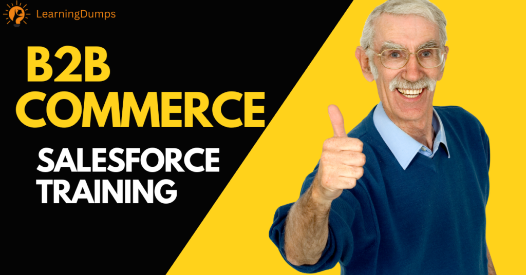 Salesforce B2B Commerce