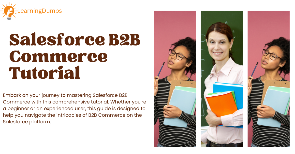 salesforce b2b commerce tutorial
